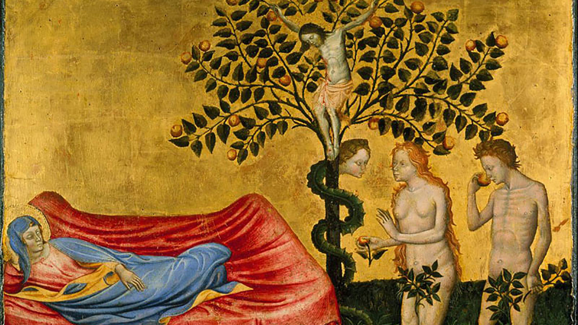 collezione_hercolani_0